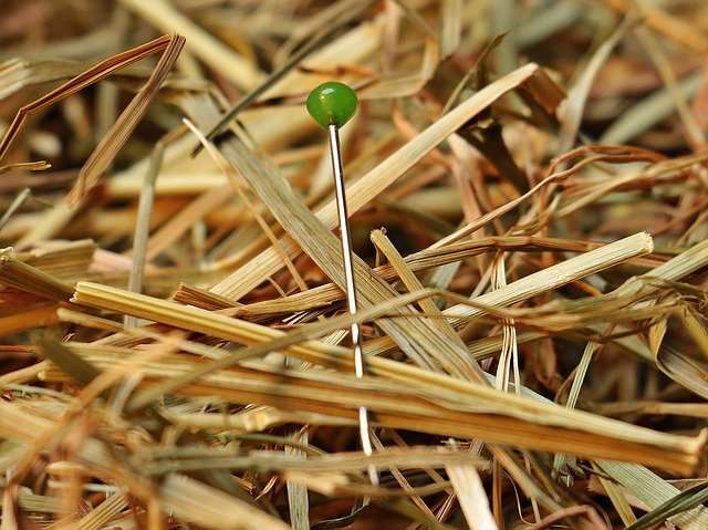 needle-in-a-haystack-g7a0488247_640